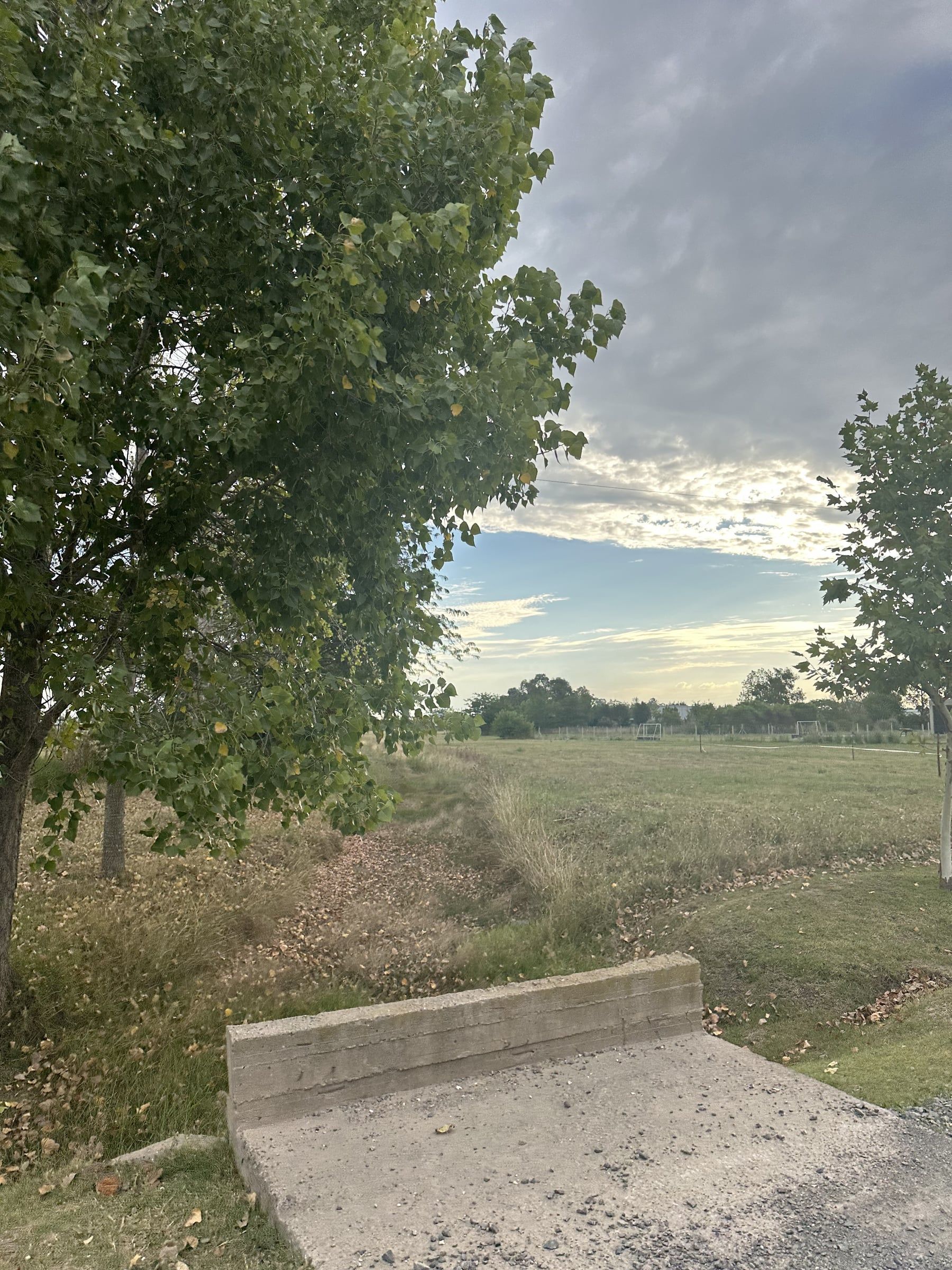 La cañada que da nombre al barrio, con pasto alto y árboles a los costados