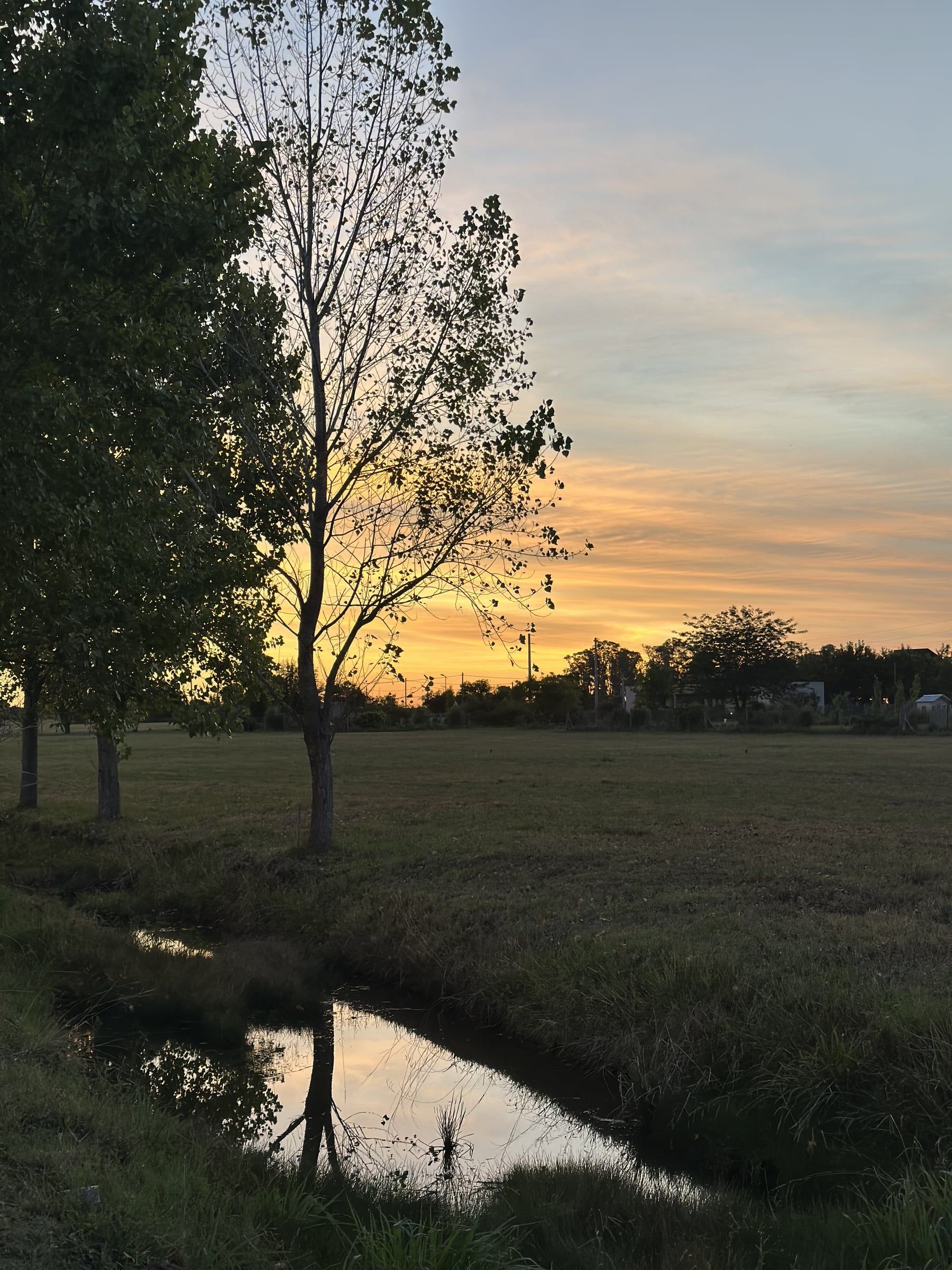 La cañada al atardecer, con árboles y campo abierto en el barrio La Cañada de City Bell